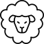 Ovelha